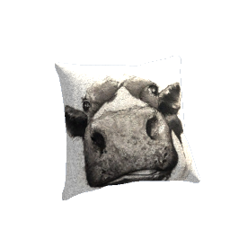 Pillow Cotton Cow Kisses