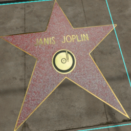 Hollywood Star Janis Joplin