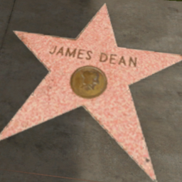 Hollywood Star James Dean