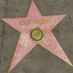 Hollywood Star Elvis Presley