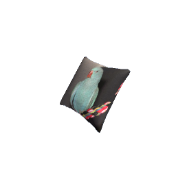 Pillow RGD Bird 1 SPECIAL REQUEST