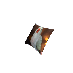 Pillow RGD Bird 2 SPECIAL REQUEST
