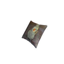 Pillow RGD Bird 3 SPECIAL REQUEST