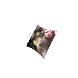 Pillow RGD Dog 1 SPECIAL REQUEST