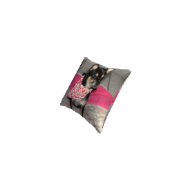 Pillow RGD Dog 2 SPECIAL REQUEST