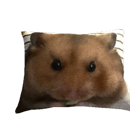 Barry the Lizzums Hampter Small Pillow