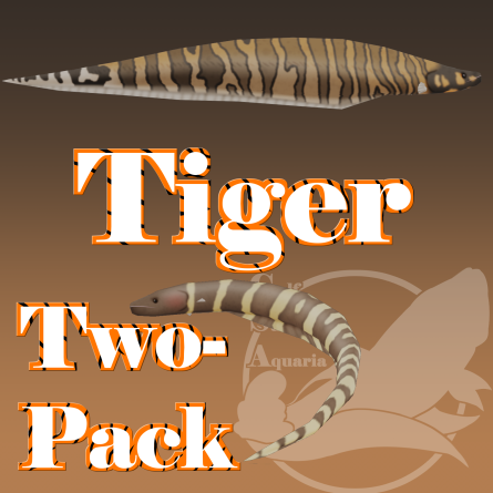 Gulf Stream Aquaria - Tiger Two-Pack