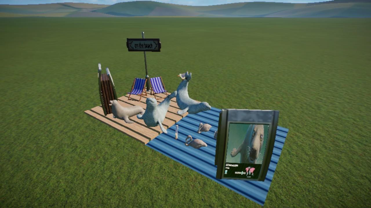 On the beach display