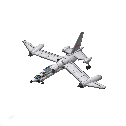 X1 flying bird