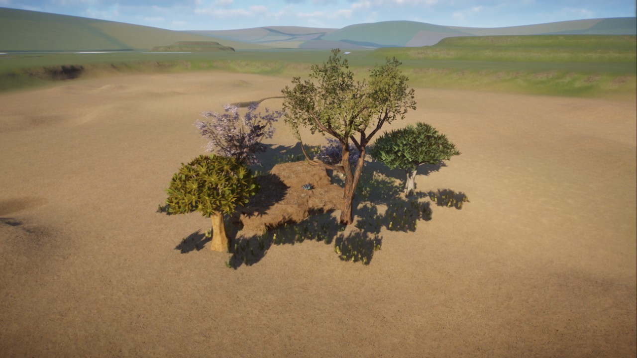 African dessert scenery I