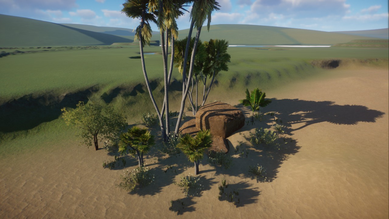 African dessert scenery III