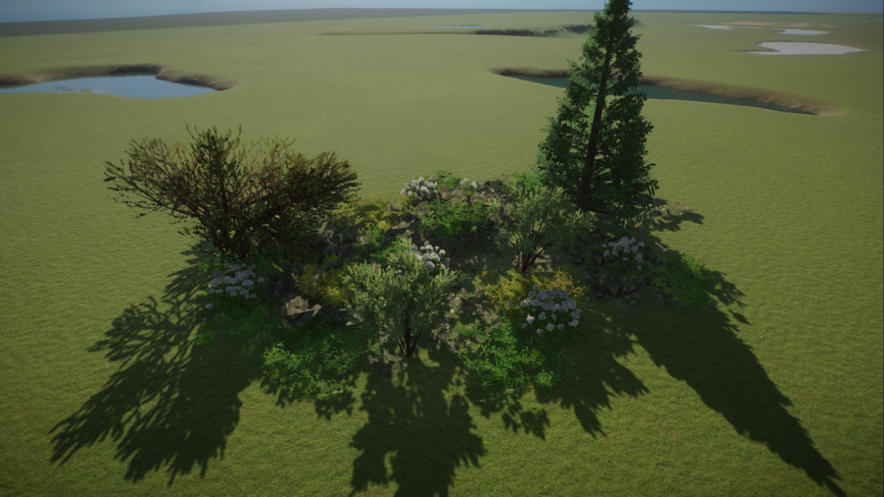 American taiga cluster III
