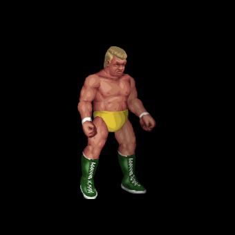 Ronnie Garvin