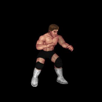 Reid Flair
