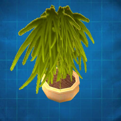Potted plant