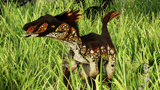 Sun Touched Novaraptor