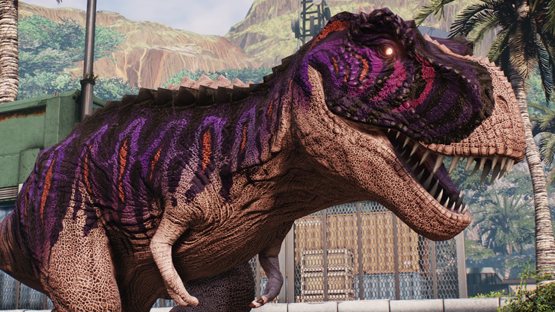 Desert Night Rex