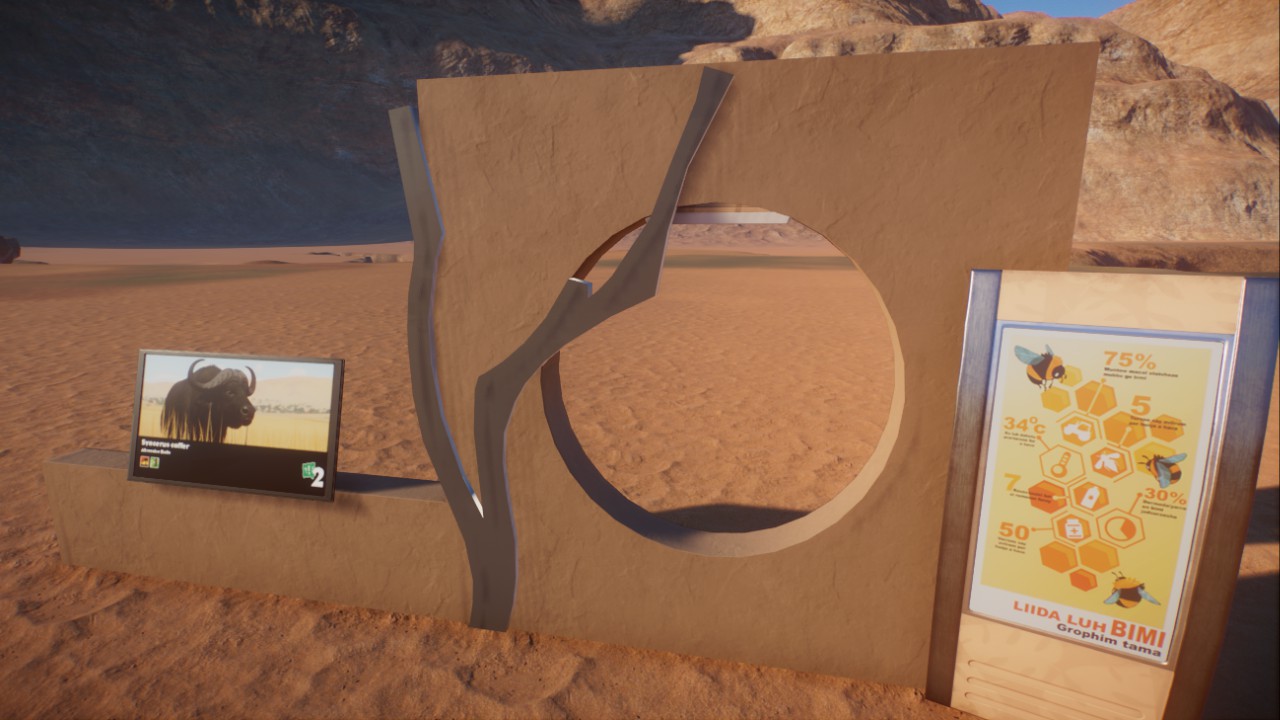 Desert Plaster Education Set