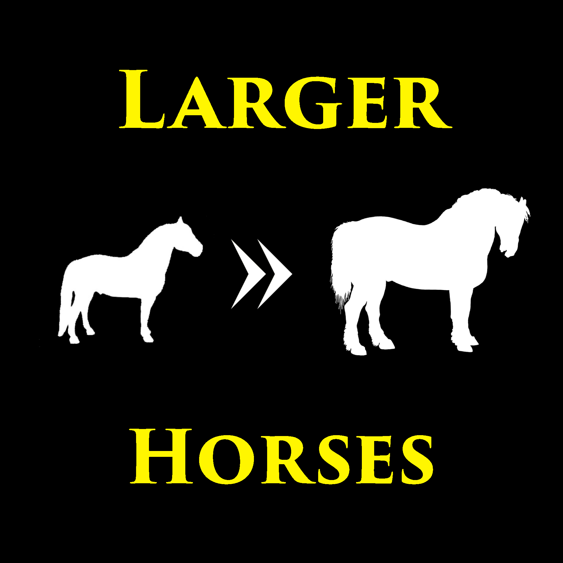 Larger Horses