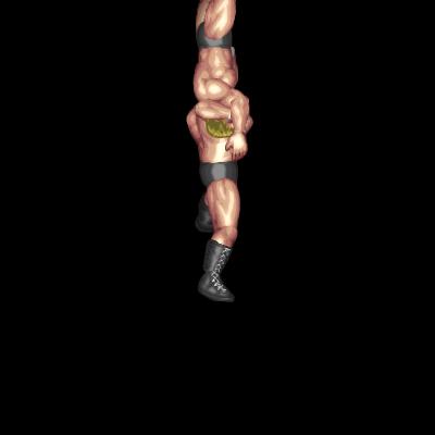 Delayed 2nd Rope Brainbuster