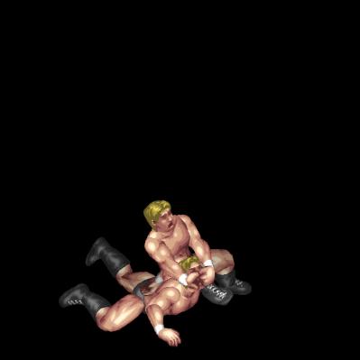 Omoplata Crossface B