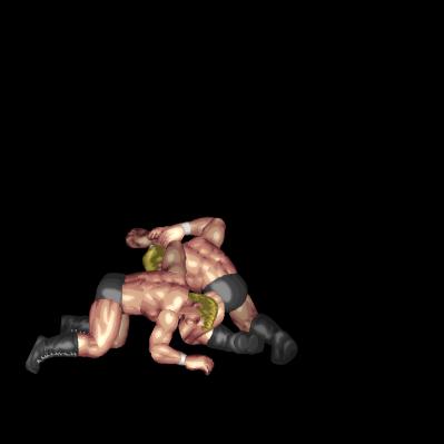 Grounded Hammerlock (face down, near head)