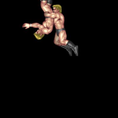 Avalanche Powerbomb Whip