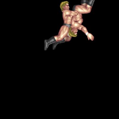 Avalanche Powerbomb Whip (counter)