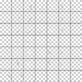 Taichi Pattern 2-B (1)