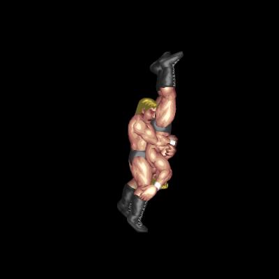 Reverse Tombstone Piledriver B