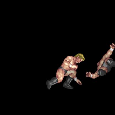 Sweep Kick B