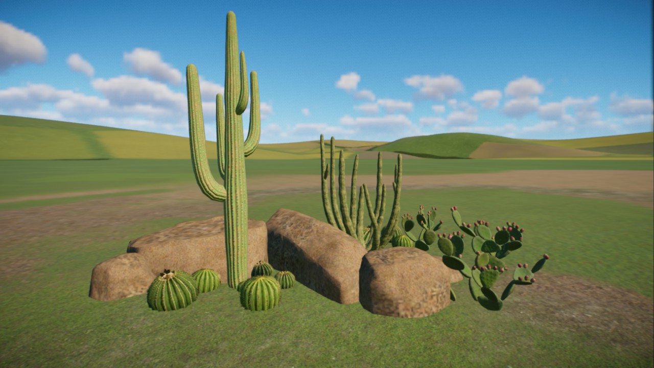 Desert Formation XI