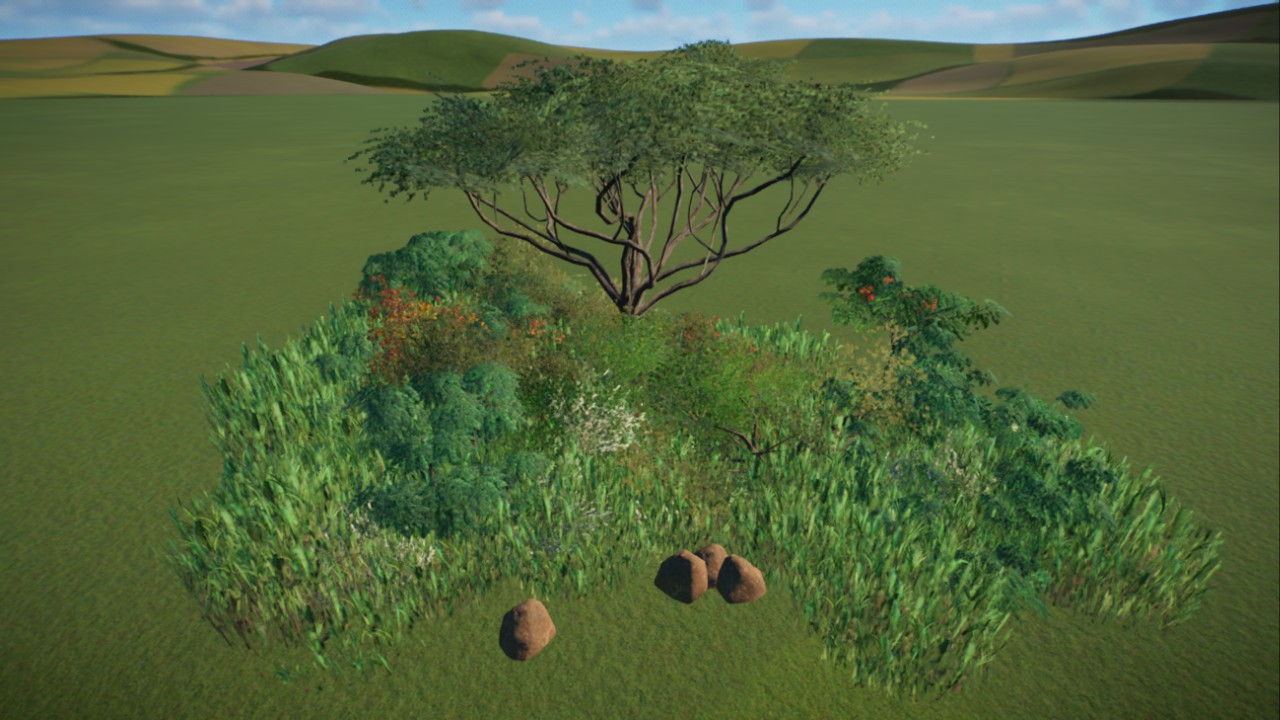 African Grassland 10
