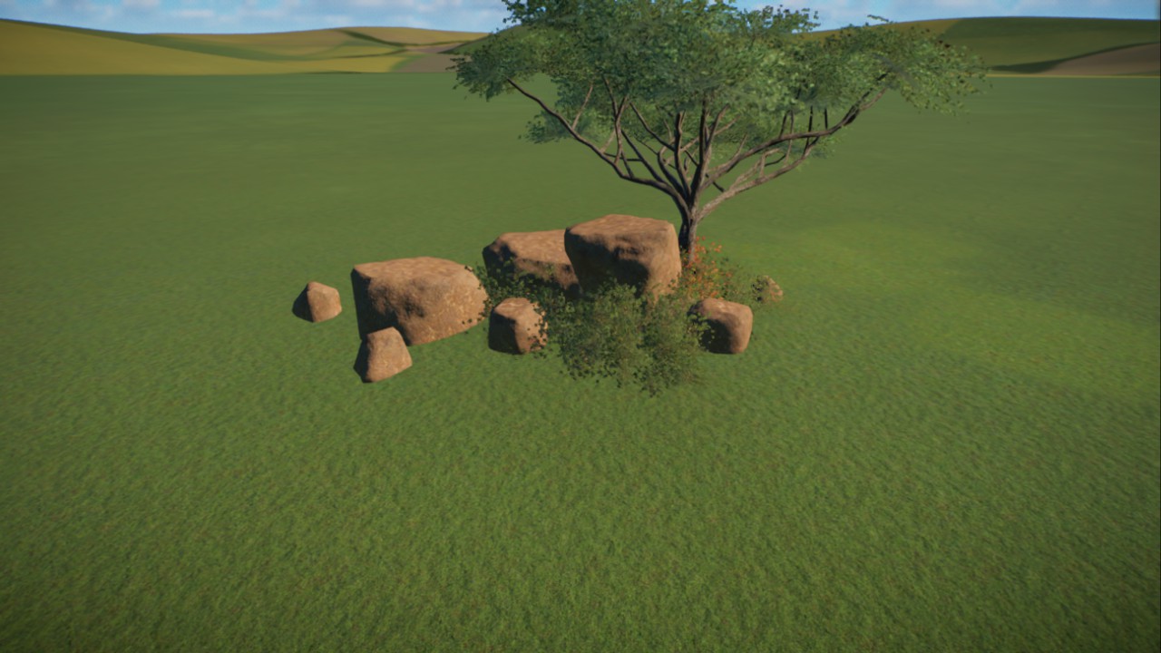 African Grassland 9