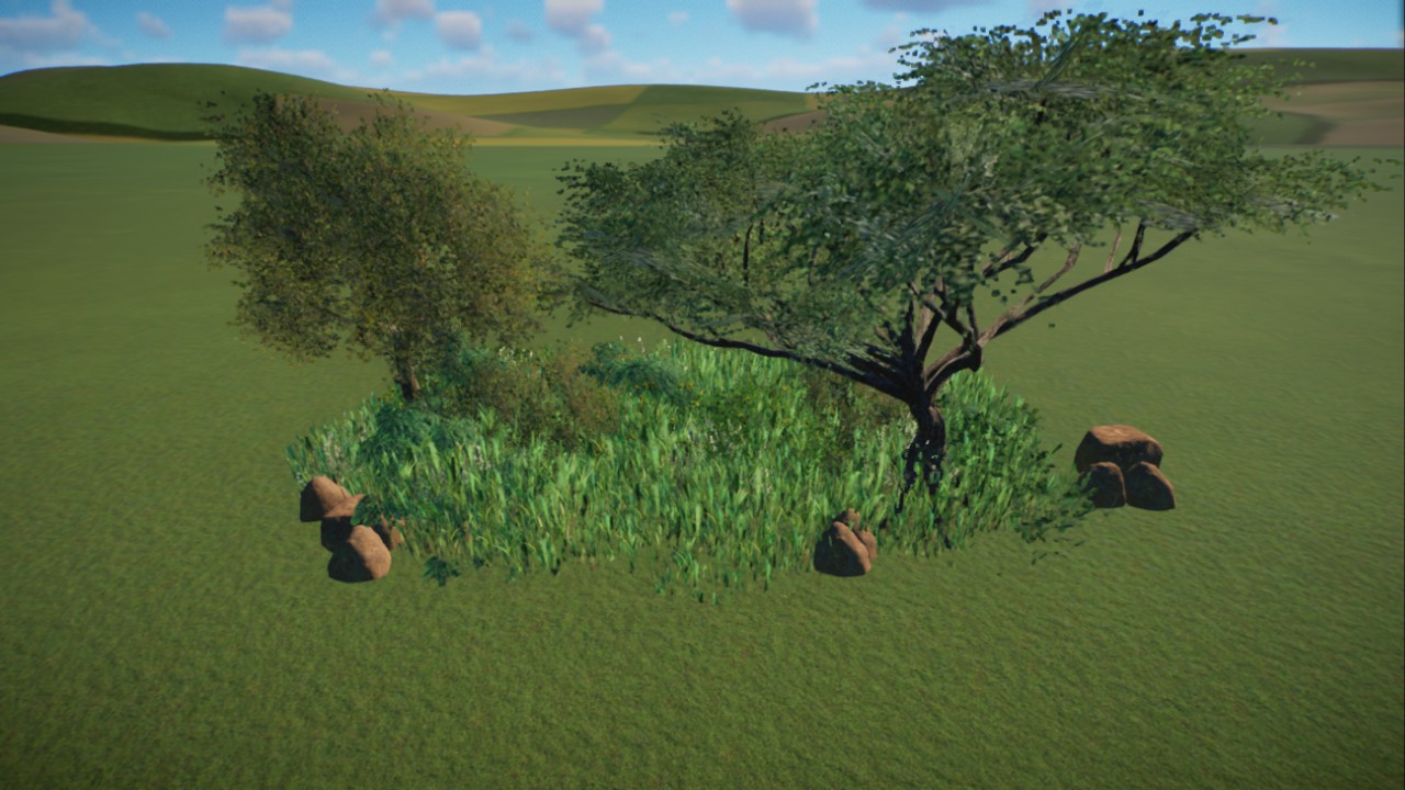 African Grassland 7