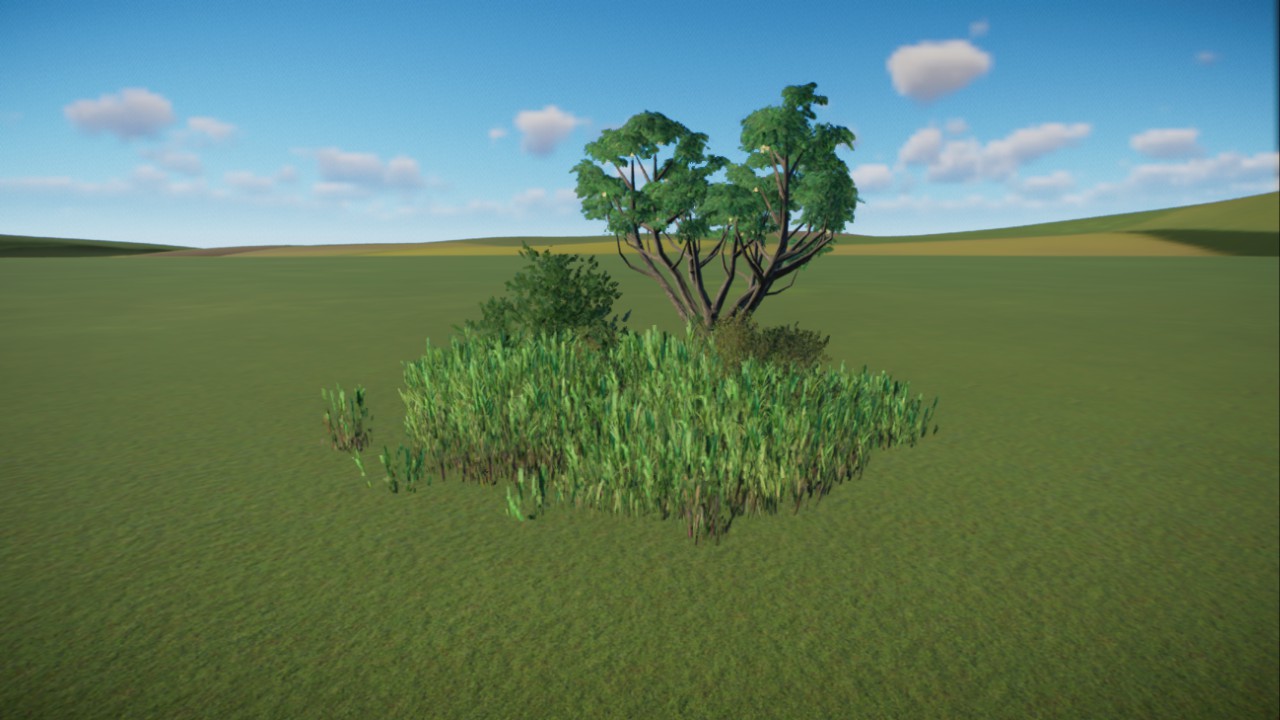 African Grassland 5
