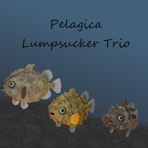 Pelagica - Lumpsucker Trio