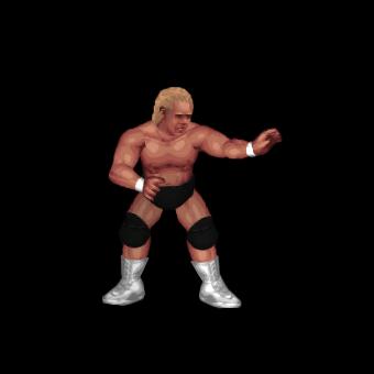 Curt Hennig (AWA)