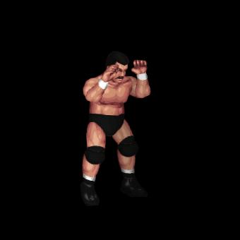 Dan Severn