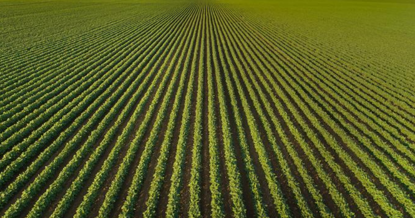Degradable Arable Land