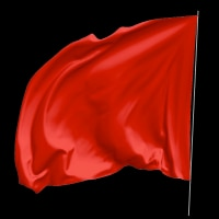 Red Flag left