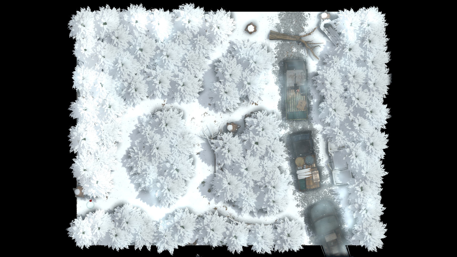 Coming In White