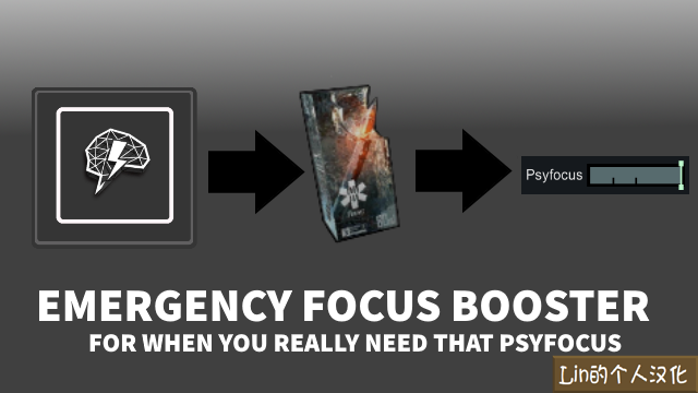 Emergency Focus Booster Lin的个人汉化