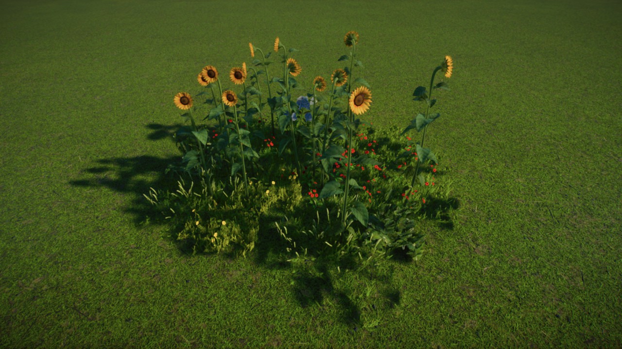 Simple Grass Coverage 13 - Sunflower / Conservation / Temperate / Wild