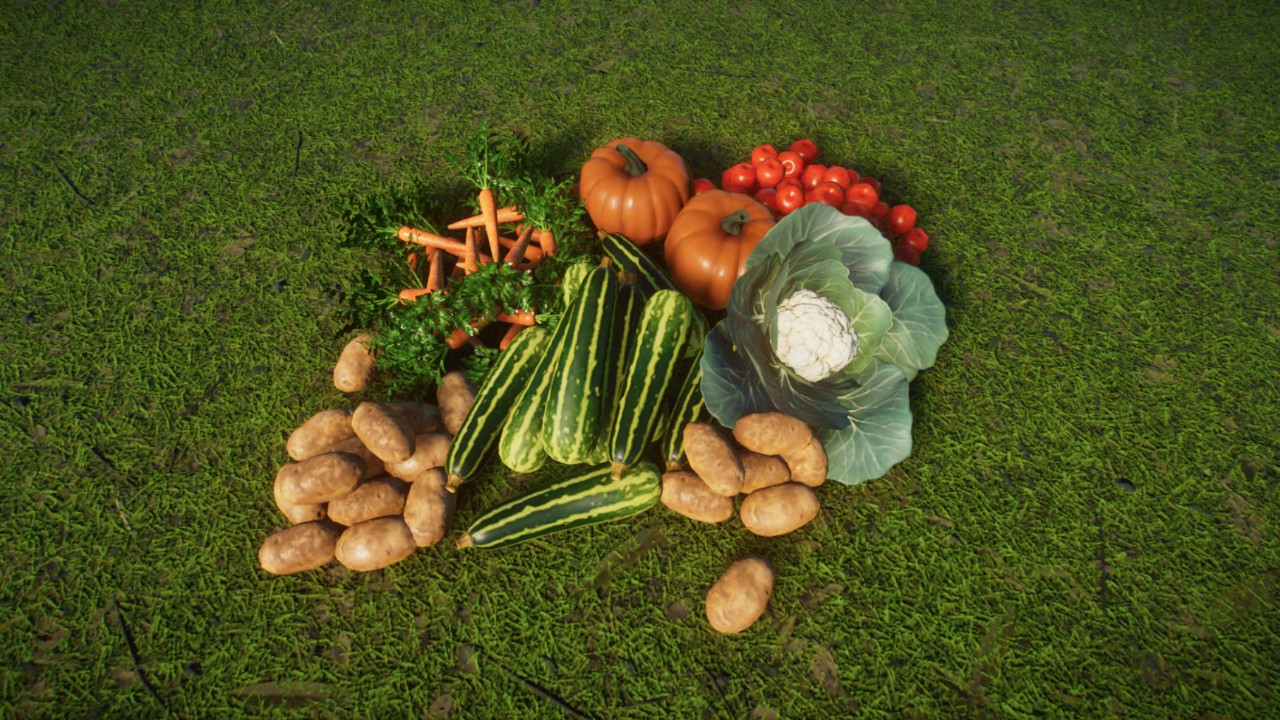 Simple Coverage 10 - Vegetables / Ingredients / Food