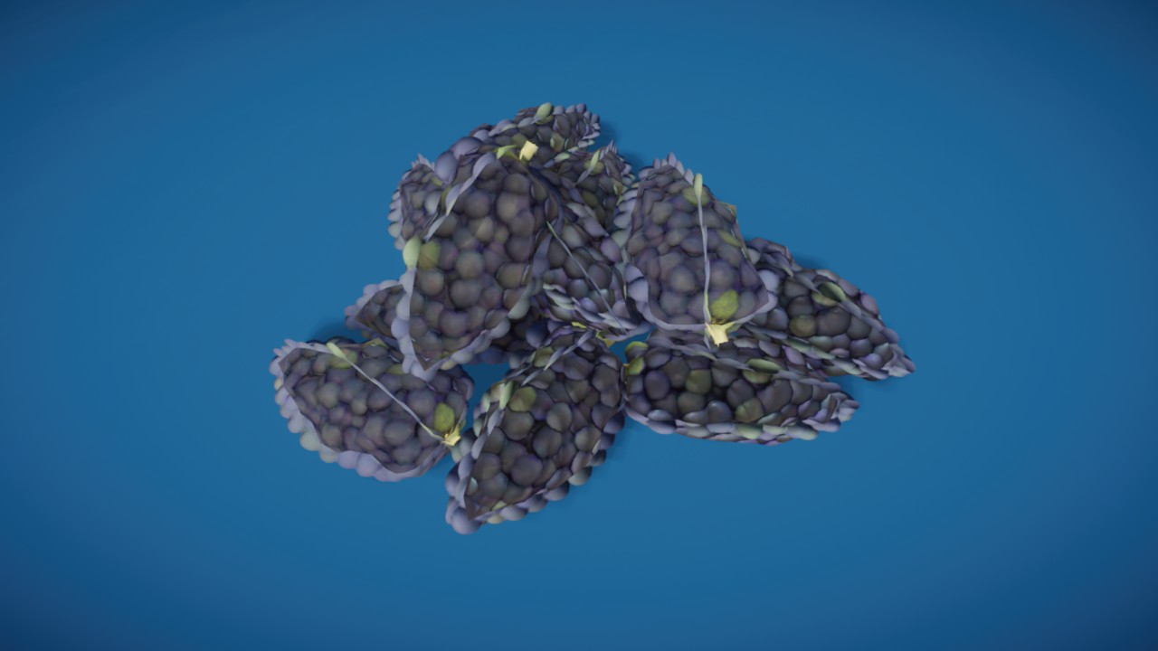 Prop - Grapes 01