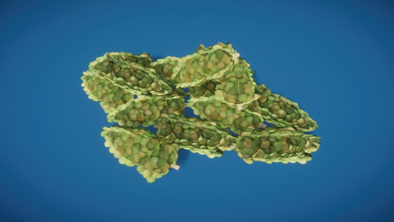Prop - Grapes 02