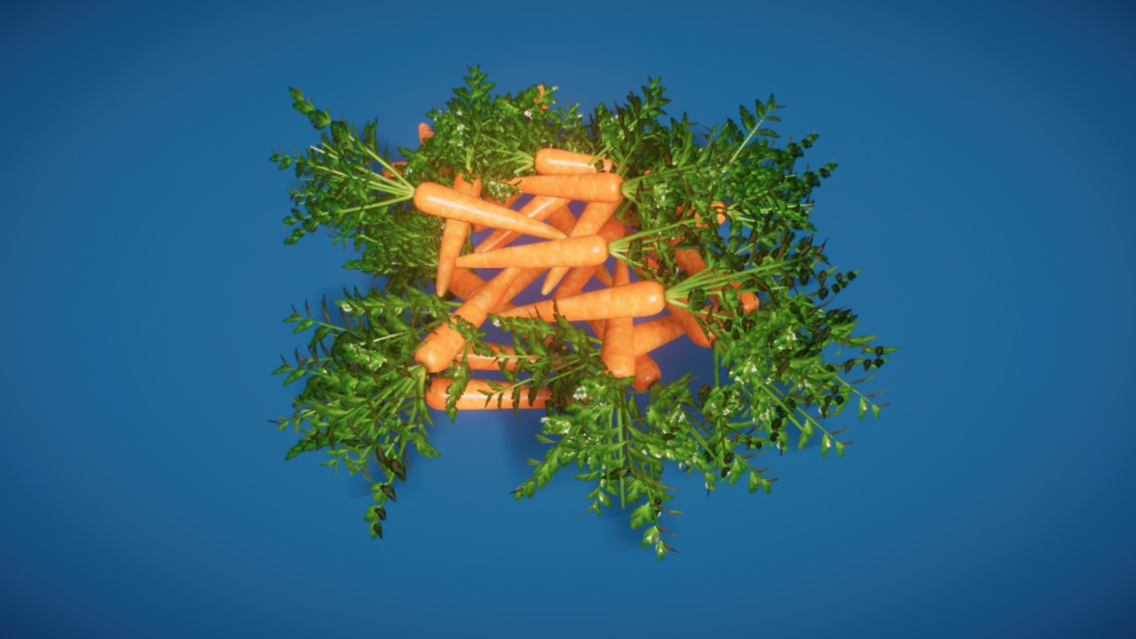 Prop - Carrots