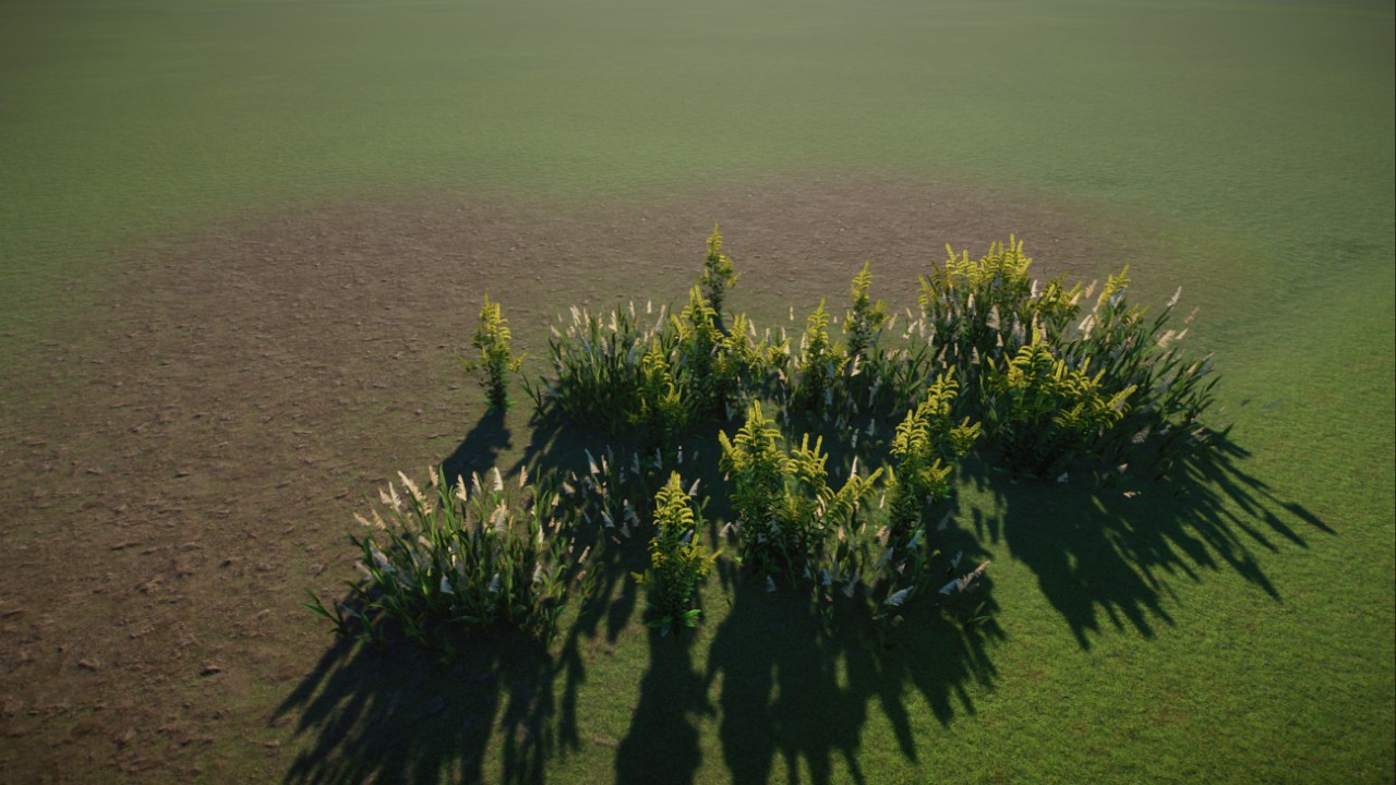 American grassland cluster
