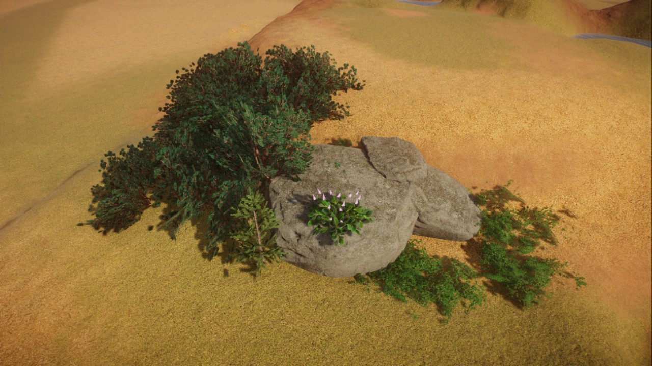 Mugo pine cluster